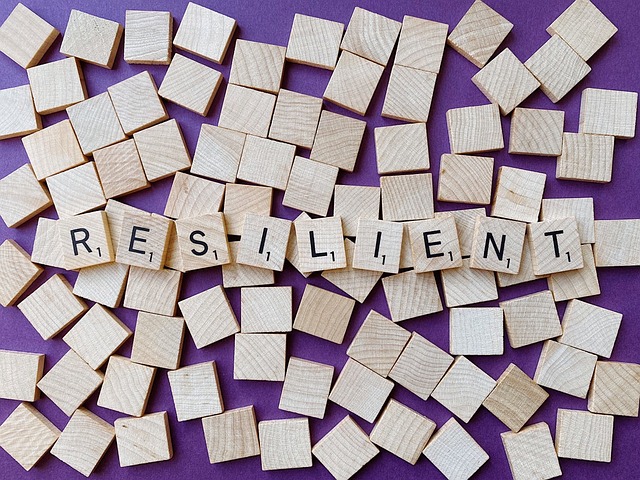 Resilienz und Wirtschaftlichkeit 